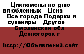 Цикламены ко дню влюбленных › Цена ­ 180 - Все города Подарки и сувениры » Другое   . Смоленская обл.,Десногорск г.